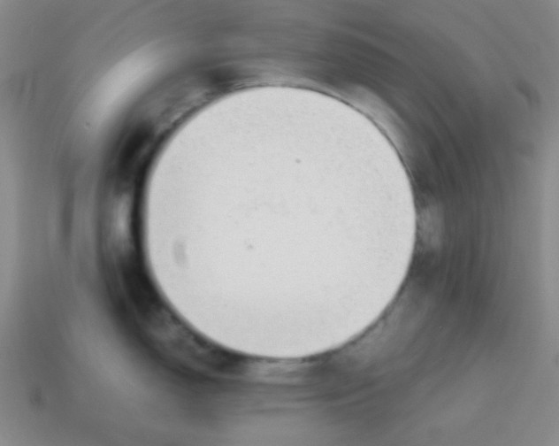 X0000113871150200910221329