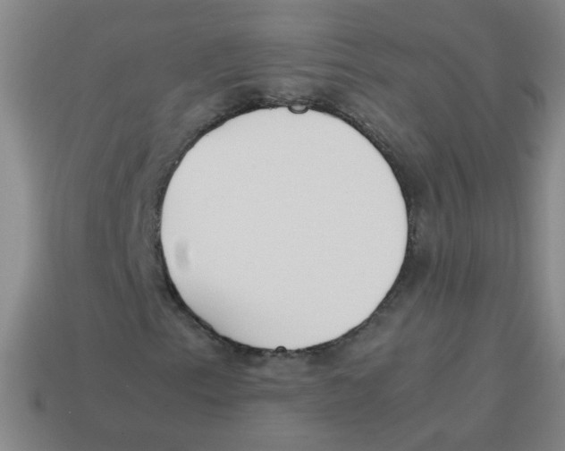 X0000113871153200910221329