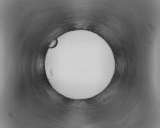 X0000113871154200910221329