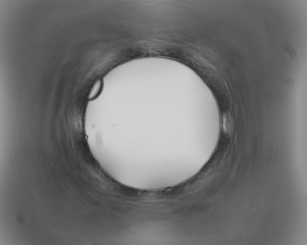 X0000113871155200910221329