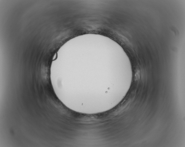X0000113871156200910221329