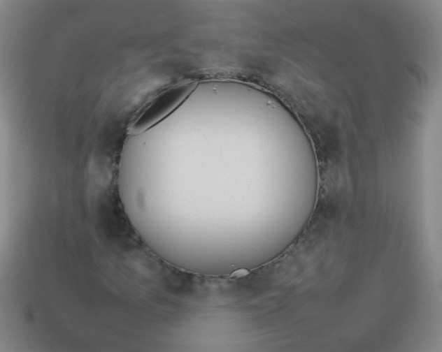 X0000113871157200910221329