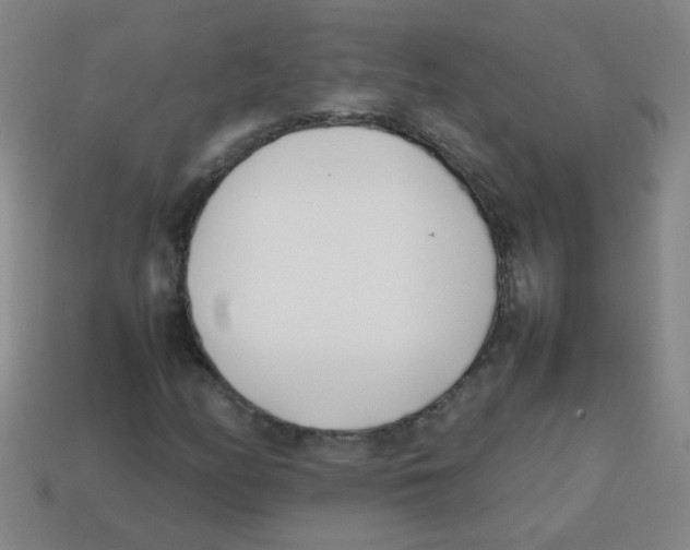 X0000113871158200910221329