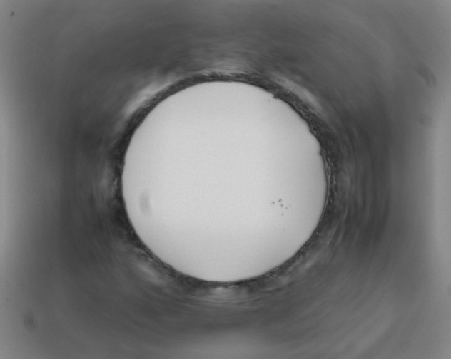 X0000113871160200910221328