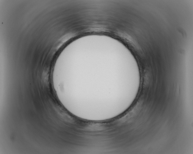 X0000113871162200910221328