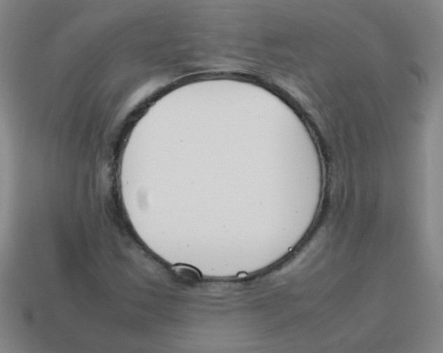 X0000113871163200910221328