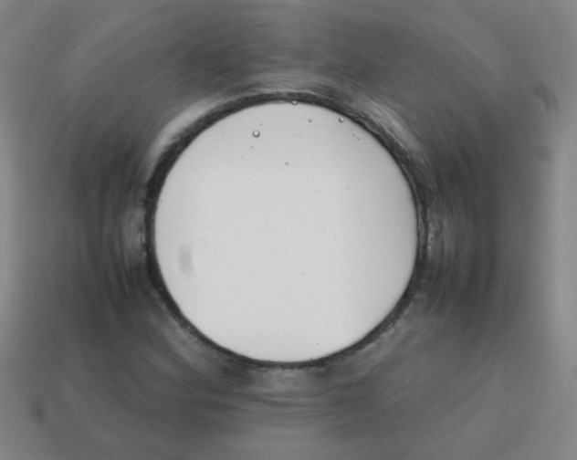 X0000113871164200910221328