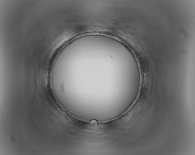 X0000113871165200910221328