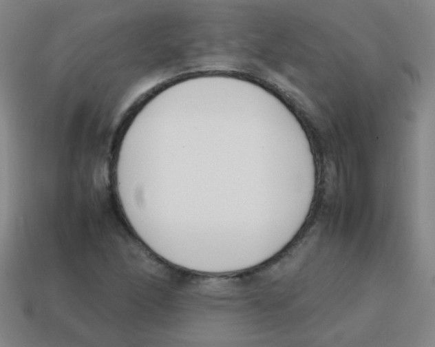 X0000113871166200910221328