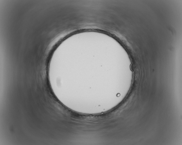 X0000113871167200910221328