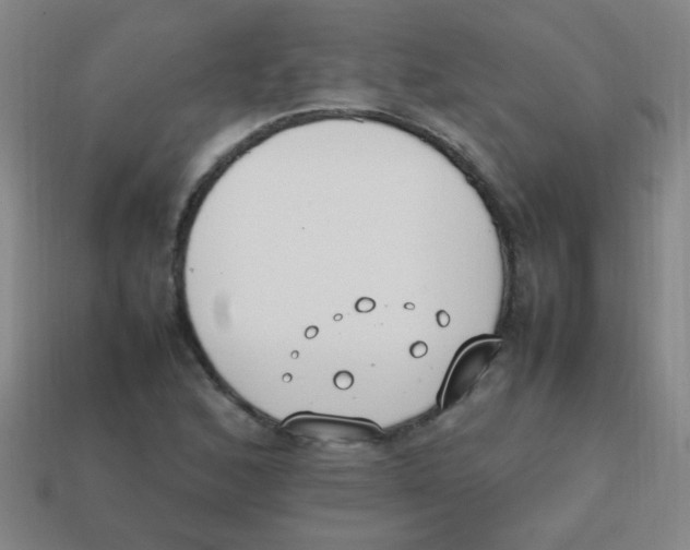 X0000113871168200910221328
