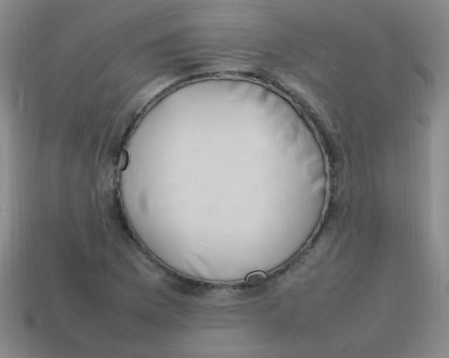 X0000113871169200910221328