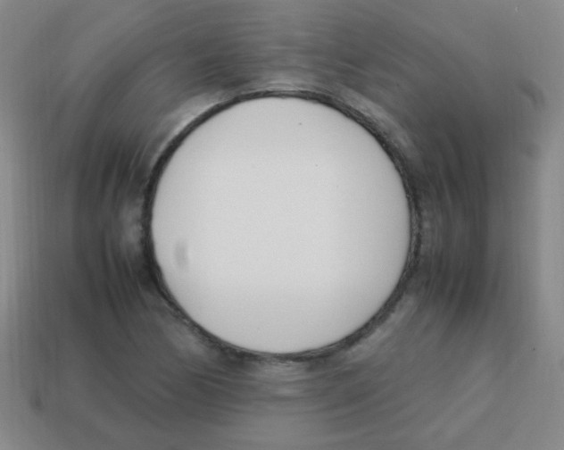 X0000113871170200910221328