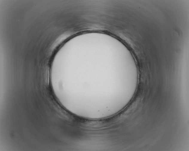 X0000113871171200910221328