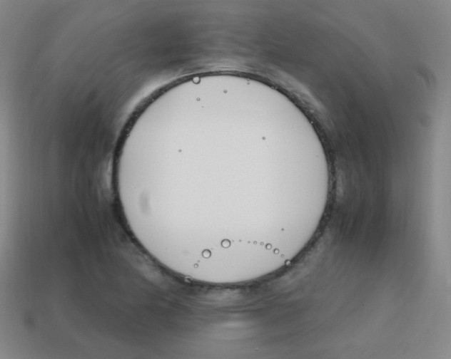 X0000113871174200910221328