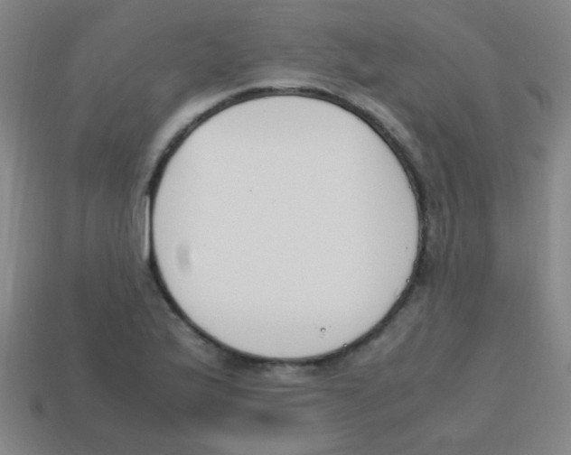 X0000113871175200910221328