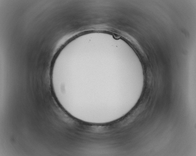 X0000113871176200910221328