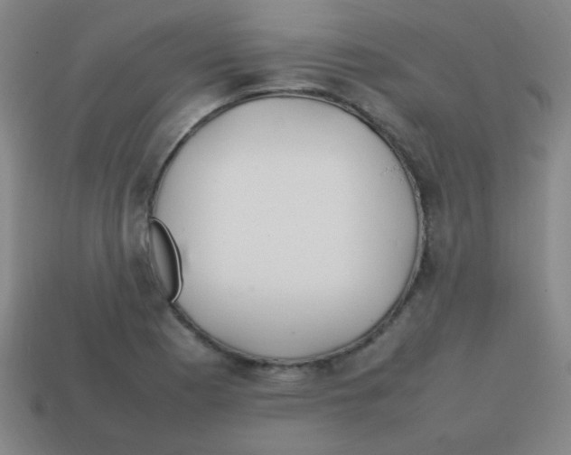 X0000113871177200910221328