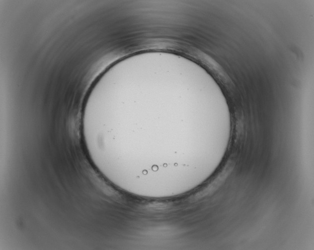 X0000113871178200910221328