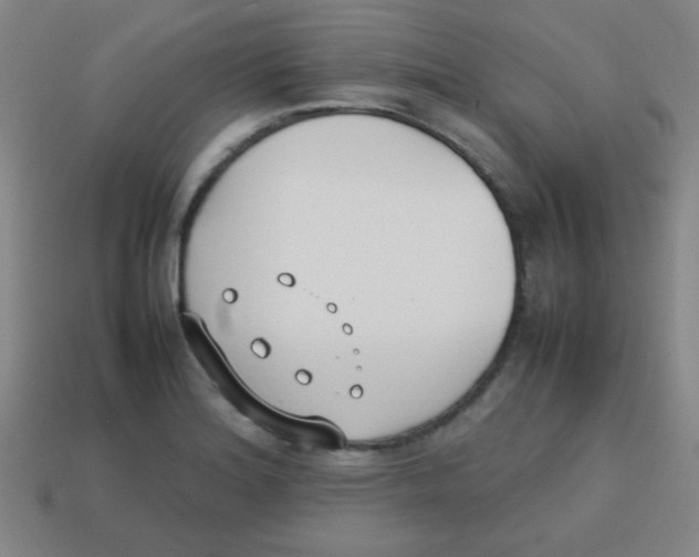 X0000113871180200910221328