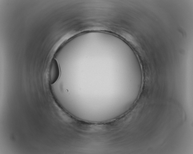 X0000113871181200910221328