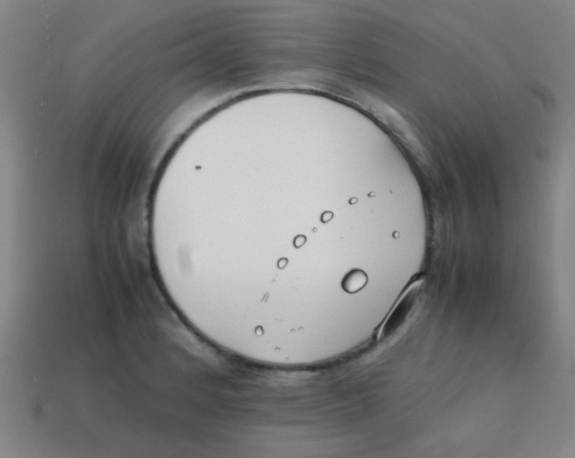 X0000113871184200910221328