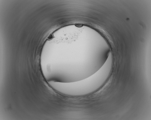 X0000113871185200910221328