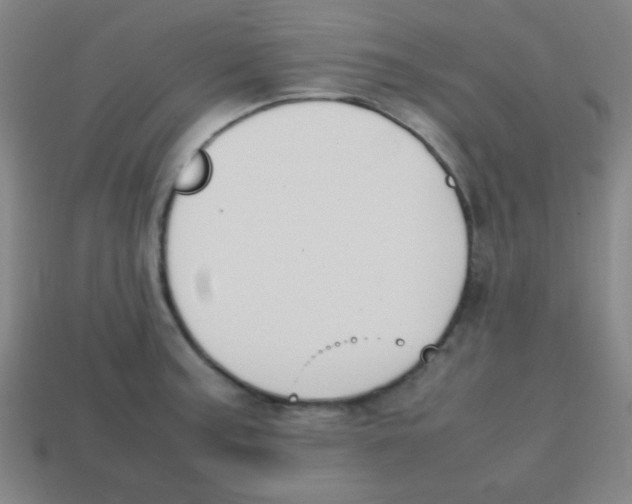 X0000113871187200910221328
