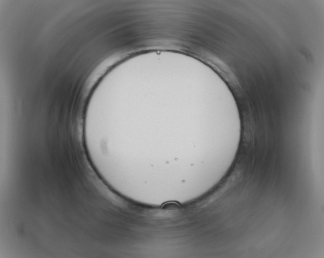 X0000113871188200910221328