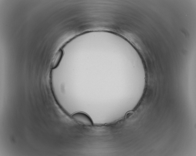 X0000113871189200910221328
