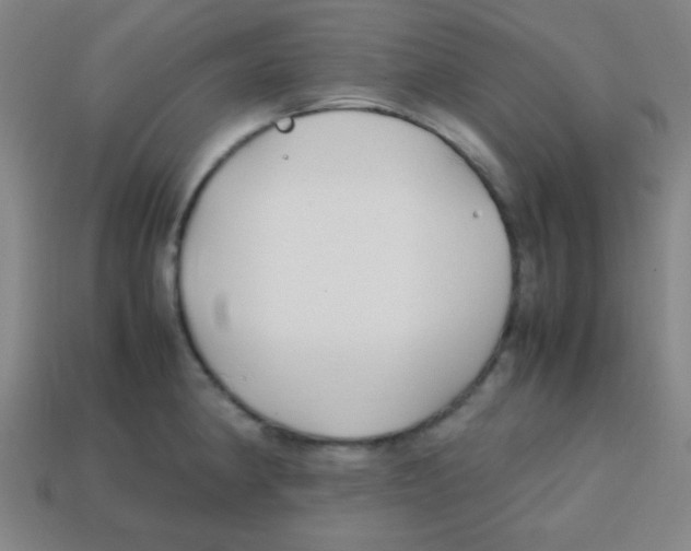 X0000113871190200910221328