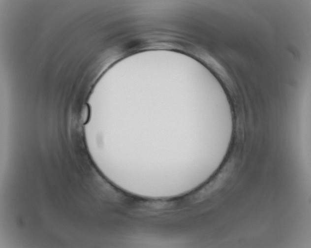 X0000113871193200910221328