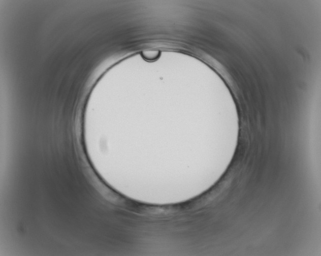 X0000113871195200910221328