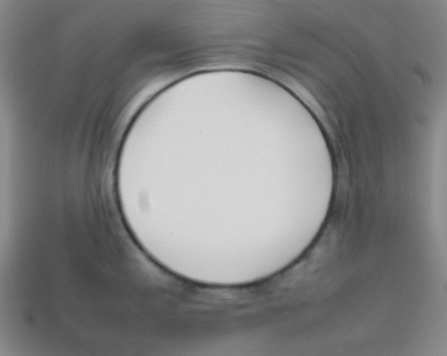 X0000113871197200910221328