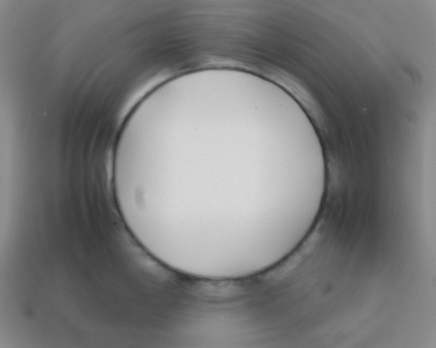 X0000113871198200910221328