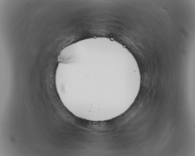 X0000113871201200910221327