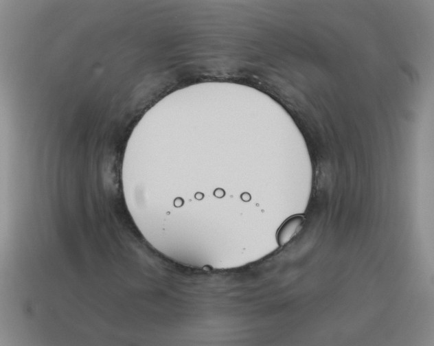 X0000113871202200910221327