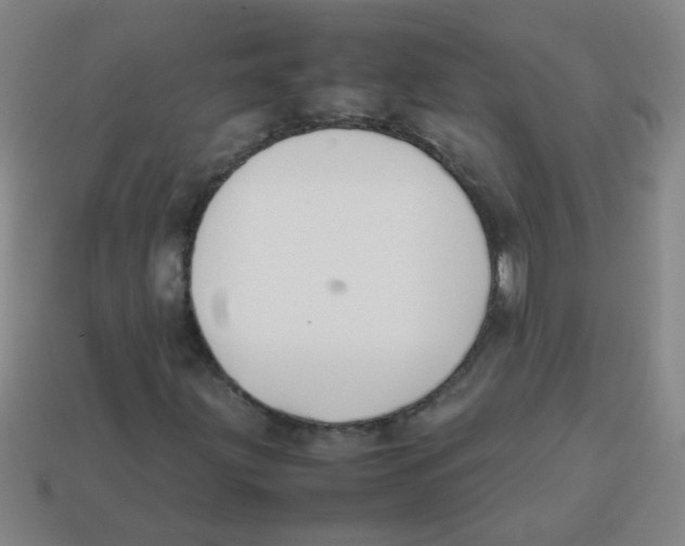 X0000113871203200910221327