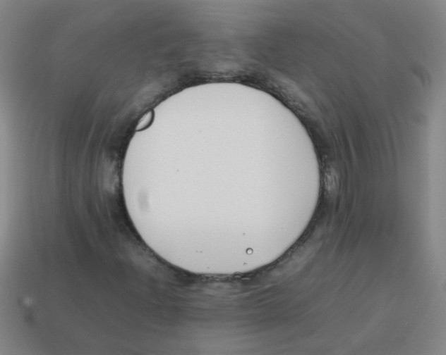 X0000113871204200910221327