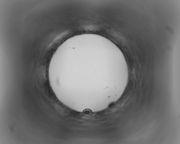 X0000113871205200910221327