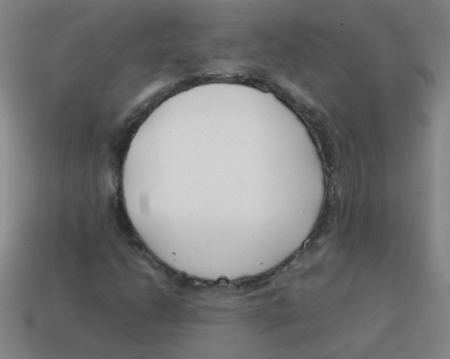 X0000113871206200910221327