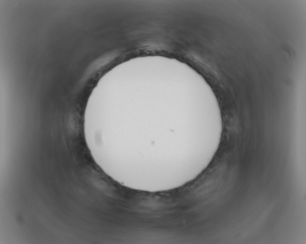 X0000113871207200910221327