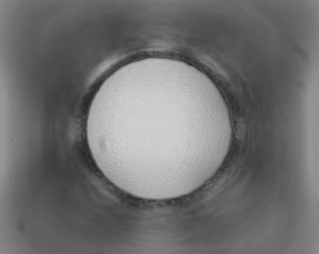 X0000113871208200910221327