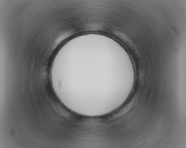 X0000113871210200910221327