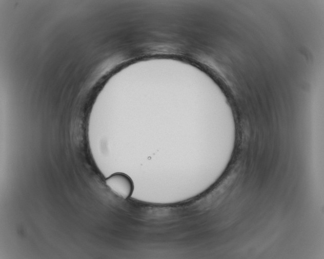 X0000113871211200910221327