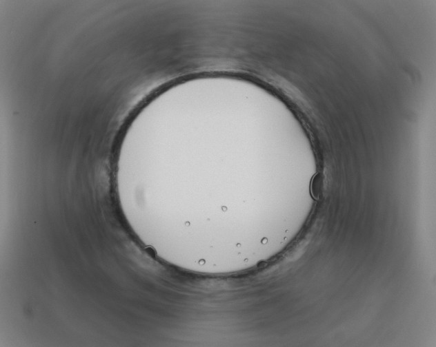 X0000113871212200910221327