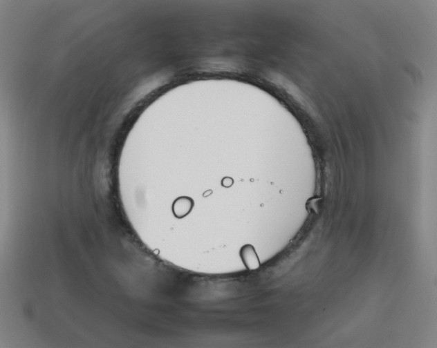 X0000113871213200910221327