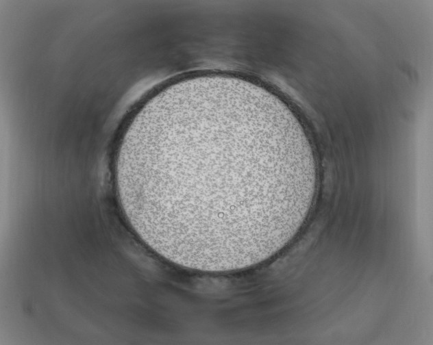 X0000113871215200910221327