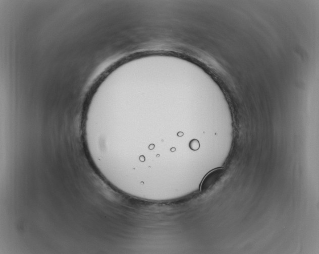 X0000113871216200910221327