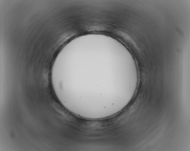 X0000113871217200910221327